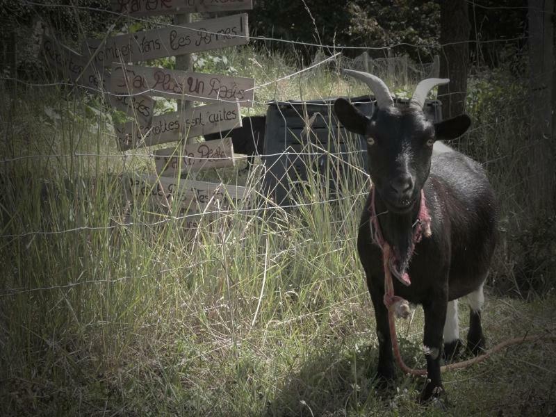 ヴァンヌ La Ferme Du Vincin Bed & Breakfast エクステリア 写真