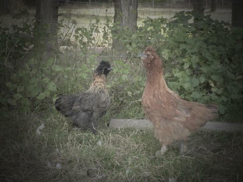 ヴァンヌ La Ferme Du Vincin Bed & Breakfast エクステリア 写真