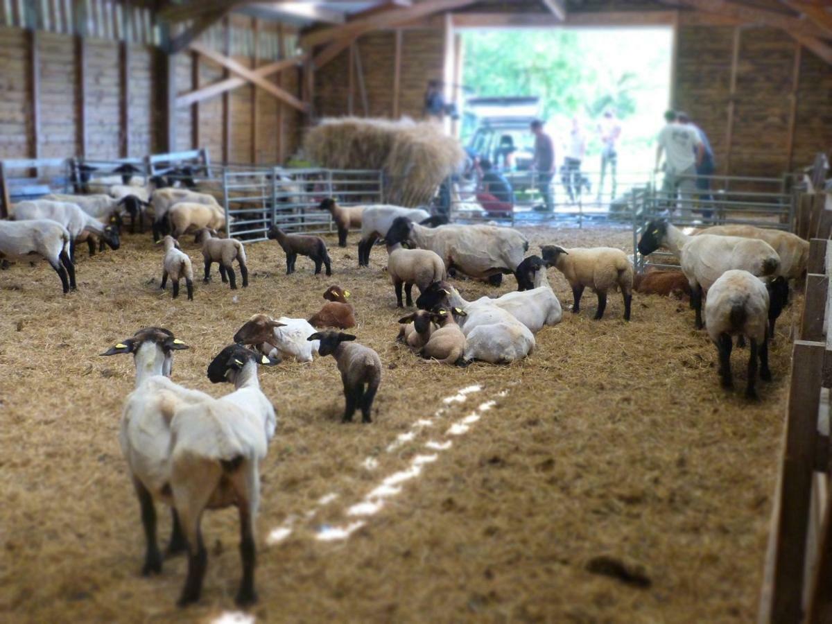 ヴァンヌ La Ferme Du Vincin Bed & Breakfast エクステリア 写真